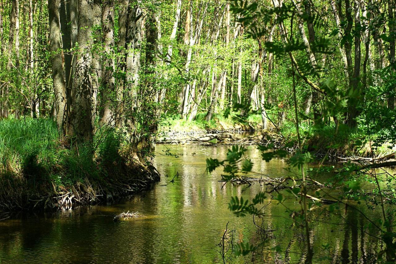 Ferien Am Hegensteinbach Villa Fürstenberg-Havel Dış mekan fotoğraf