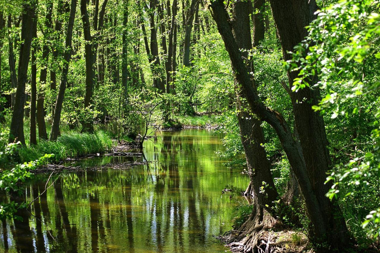 Ferien Am Hegensteinbach Villa Fürstenberg-Havel Dış mekan fotoğraf